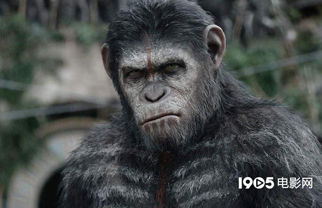 电影《人猿星球》最新动态 将继续书写凯撒故事_影片