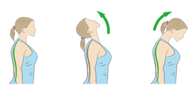 横竖点撇折丨感受汉字的魅力_运动