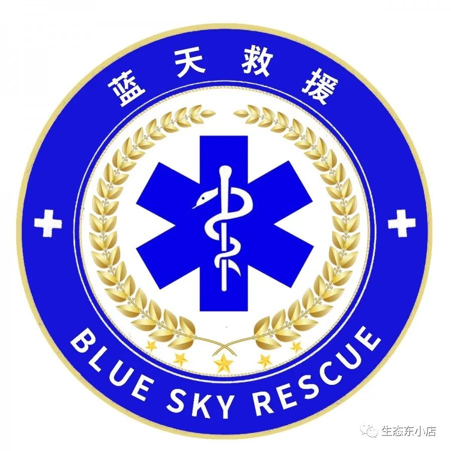 蓝天救援队图标图片