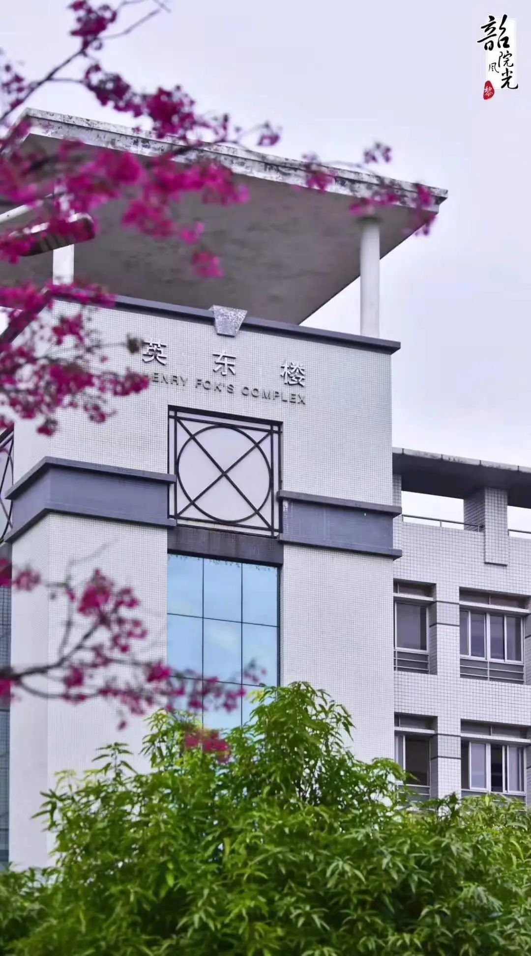 想见你韶关学院的樱花