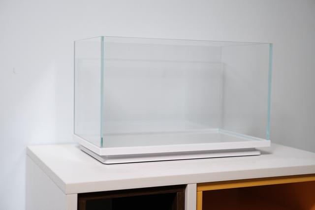 画法几何桌面鱼缸探索版小白也能养出一缸漂亮的鱼儿