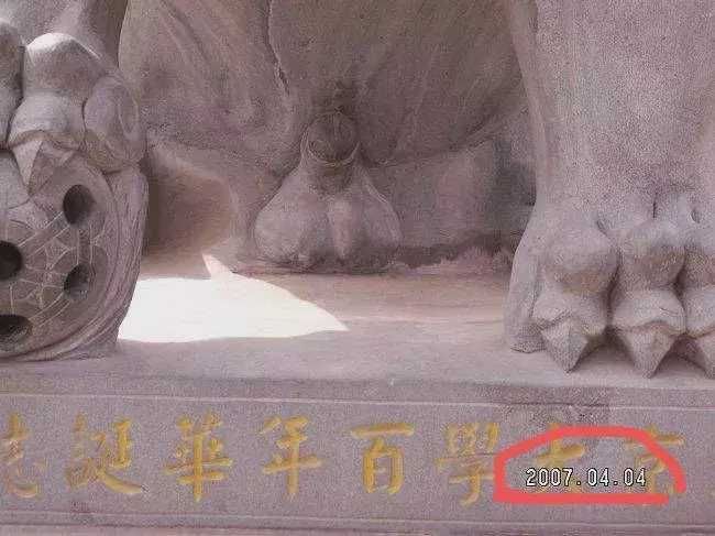 惨无狮道北大石狮子横遭绝育