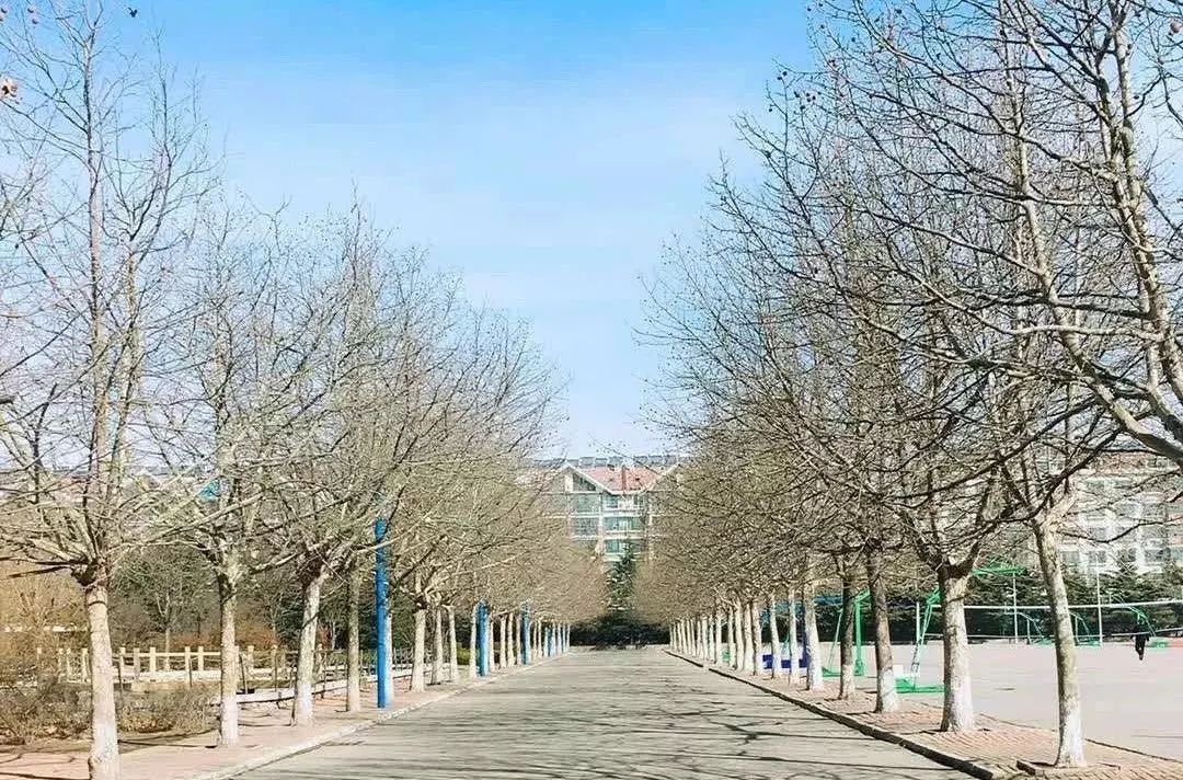 校长拍给你看_城阳区
