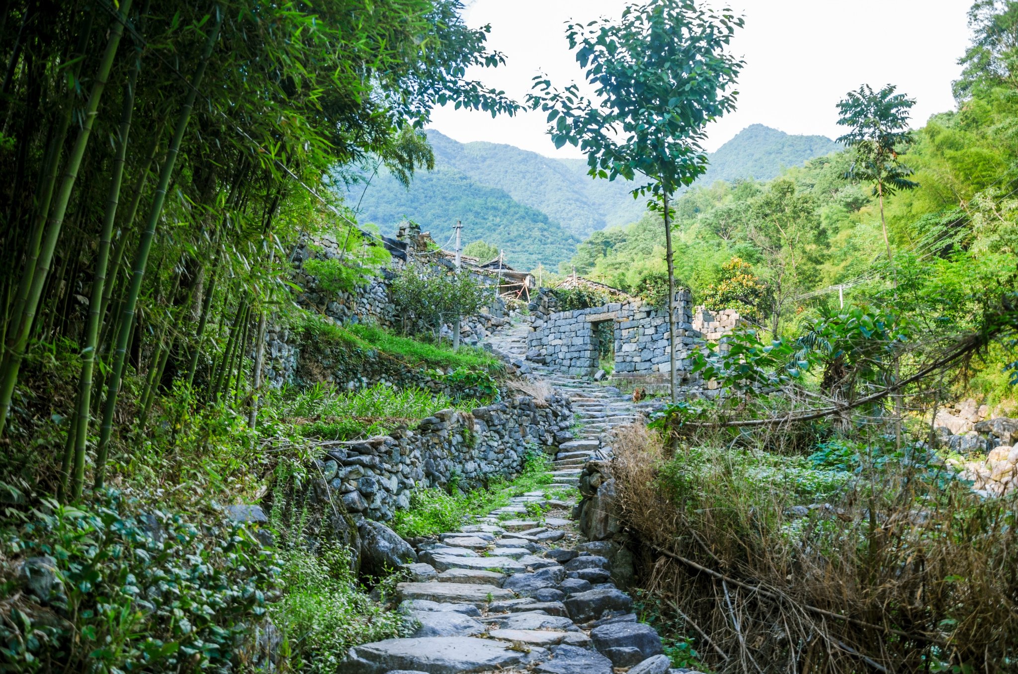 浙江大山里的古村落村里不通车路房子用石头建造美世外桃源