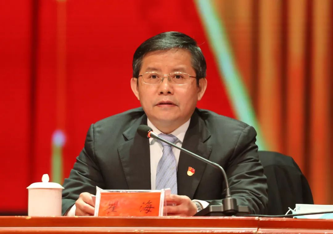 市领导黎石秋,徐云波,刘丽华,孙达良,周振宇,张先旺,杨爱云,黄道安等