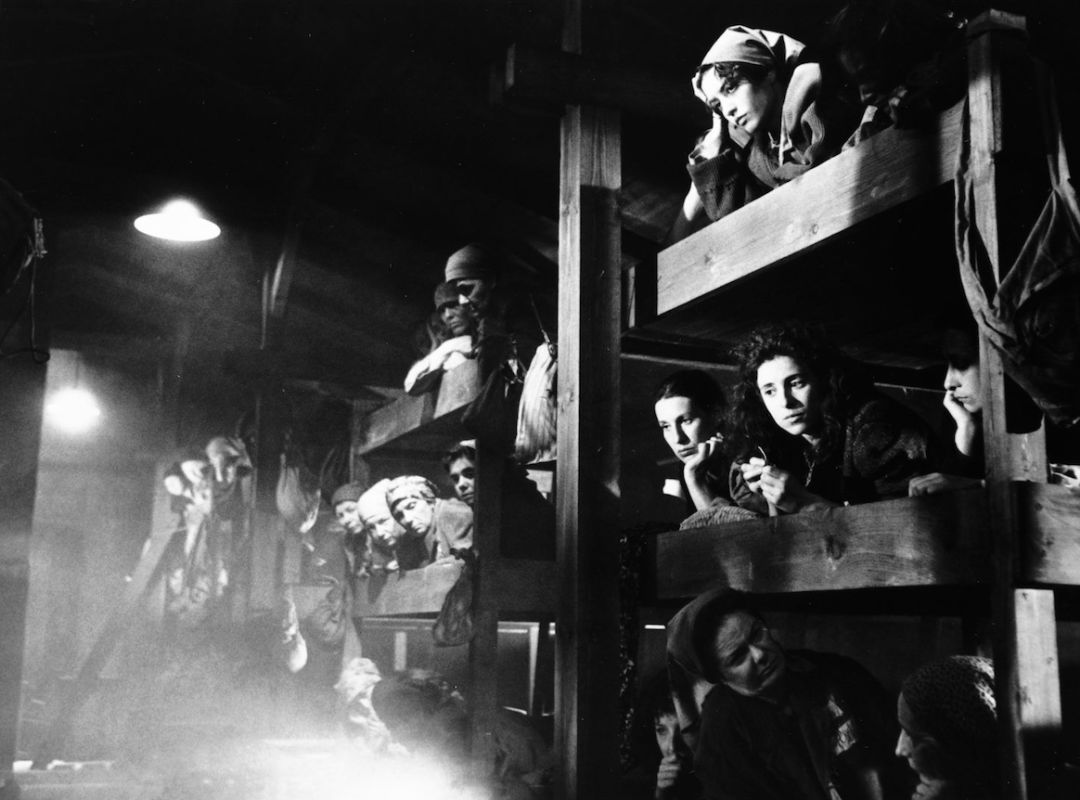 画出这4500张作品的孩子们,大多被谋杀在纳粹的毒气室里_集中营