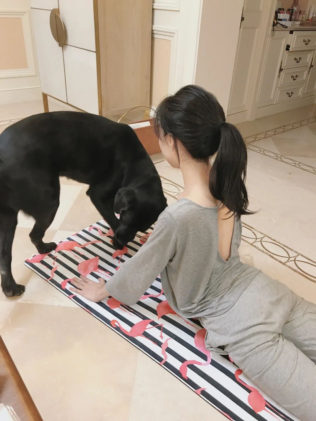 保持柔韧性,拉筋压腿后微微出汗,是为了下一顿吃得开怀.