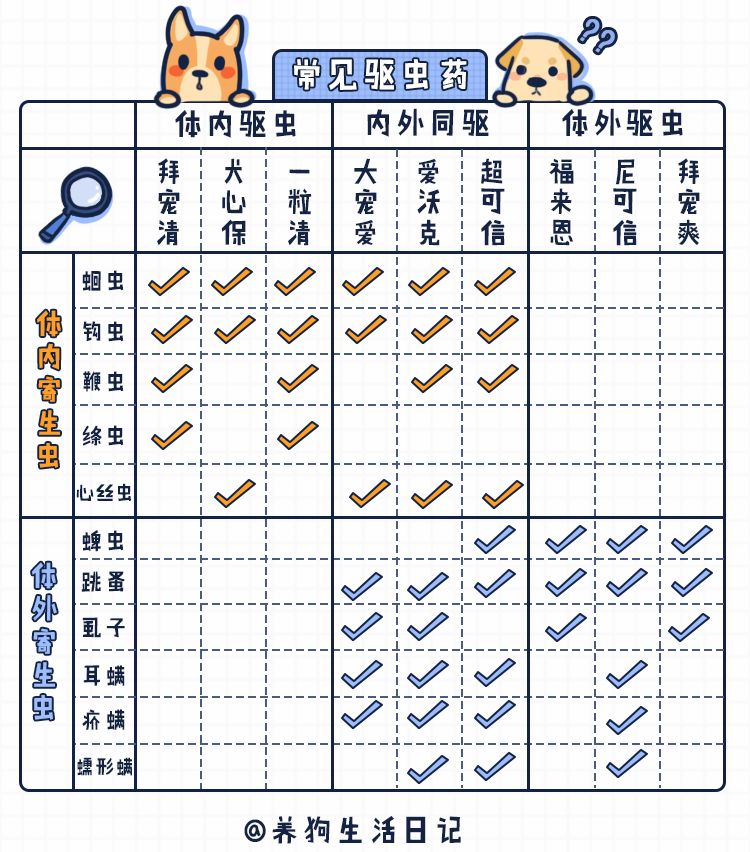 驱虫是狗狗日常保健的重要环节!不是说没得过就没有寄生虫