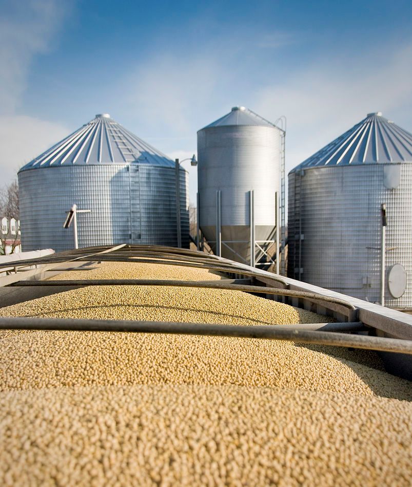 黑龙江省大豆加工补贴暂行实施方案公布