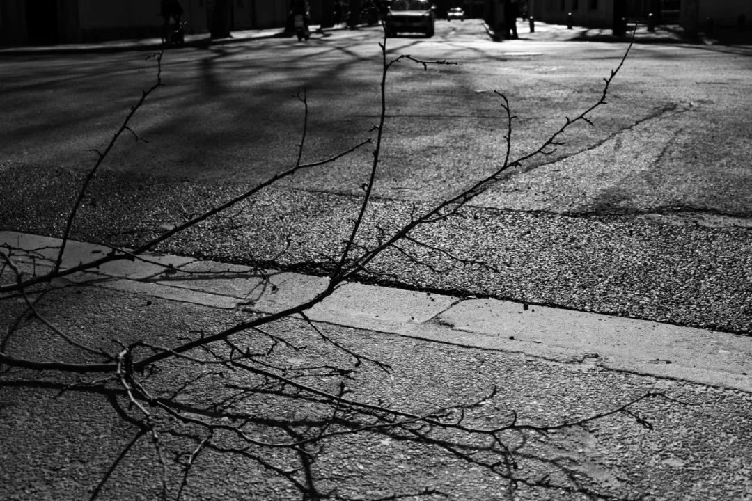 慢慢移动着,在那些充满着人类智慧的物体上,演变出各种影像,斑斑驳驳