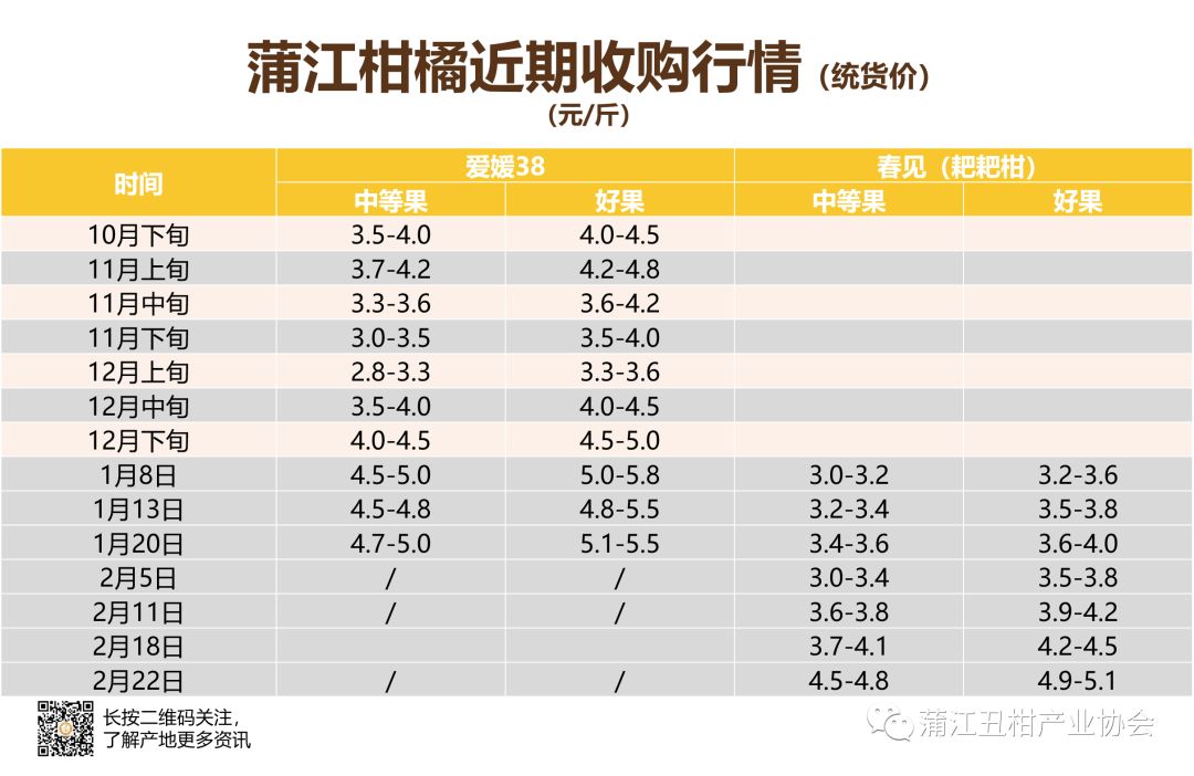 今日蒲江耙耙柑地头价图片