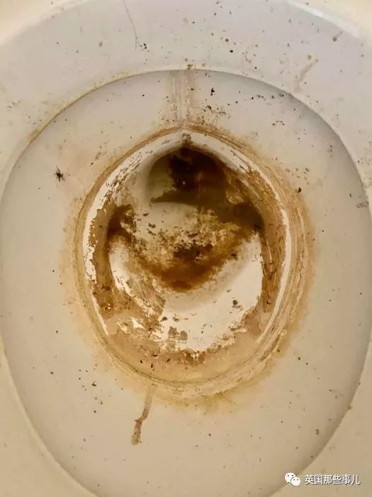 房东发帖吐槽超恶心的奇葩房客这些烂人就是租房押金很高的原因