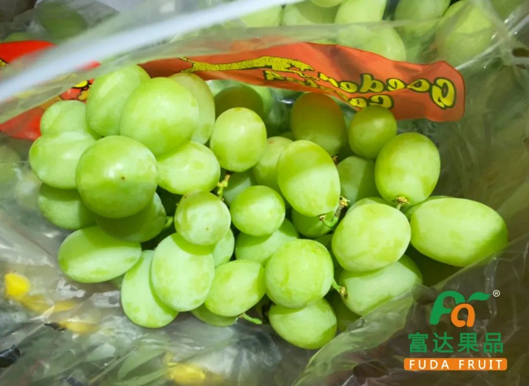 今日新品 | 手指青提/玫瑰黑提/非转基因木瓜/血橙……物美价优