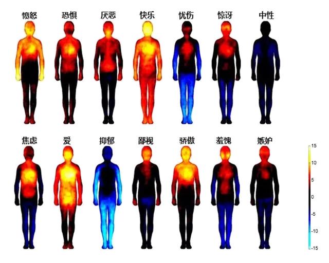 芬兰科学家的《情绪地图》所以我们看新闻的时候,会看到愤怒的两个人