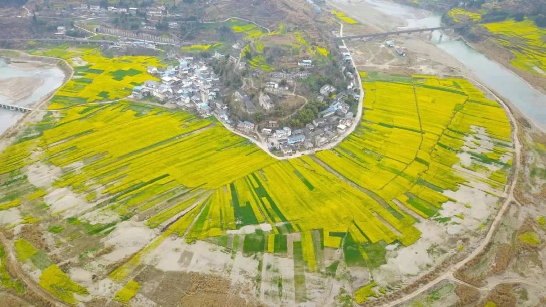 憋坏了吧相约大美青川以一场踏青赏花重启2020