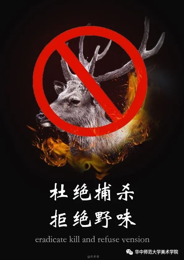 禁止捕杀野生动物标语图片