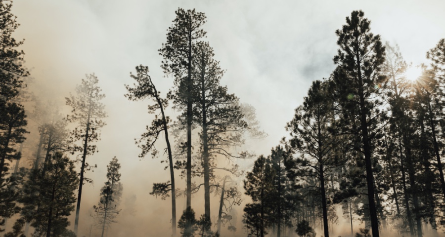 对于网络直播卖货，家电厂商应该关心的几个问题-家电圈官网