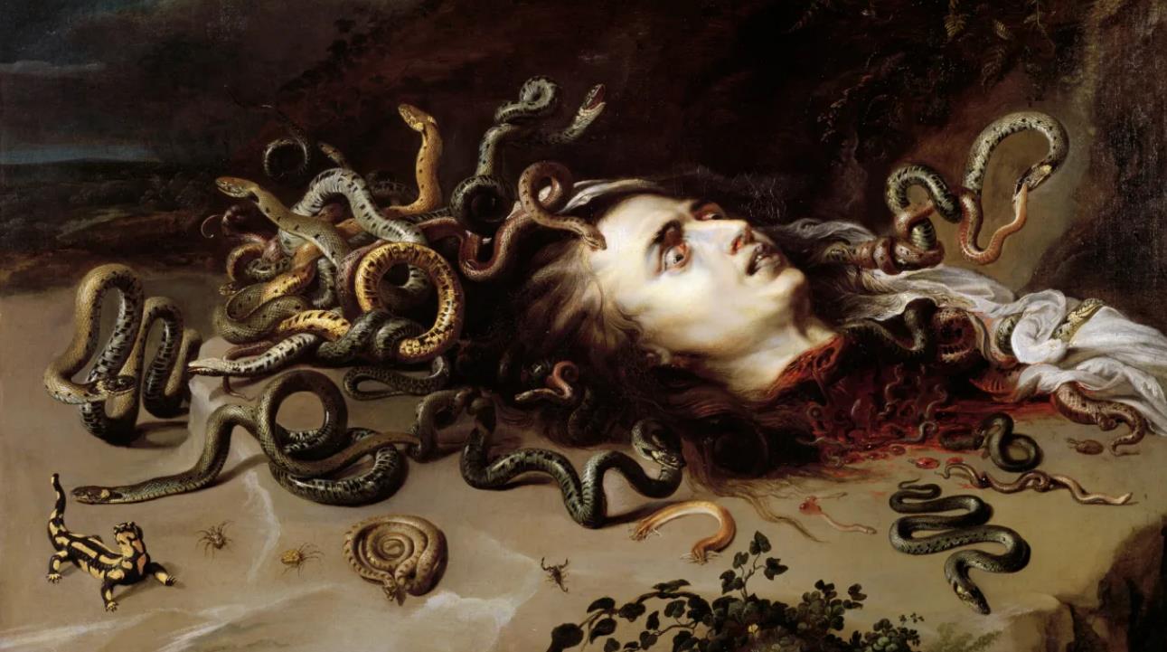 盘点世界历史上六条强大的蟒蛇中国只有一条上榜