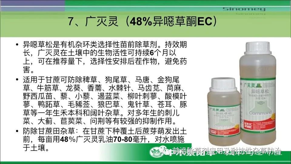 甘蔗田除草剂主要品种评价及热点产品和应用技术介绍