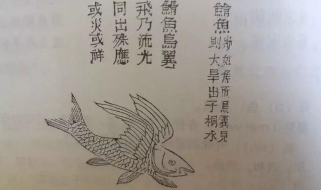 这些东西能保平安盘点山海经中有特殊疗效的动植物