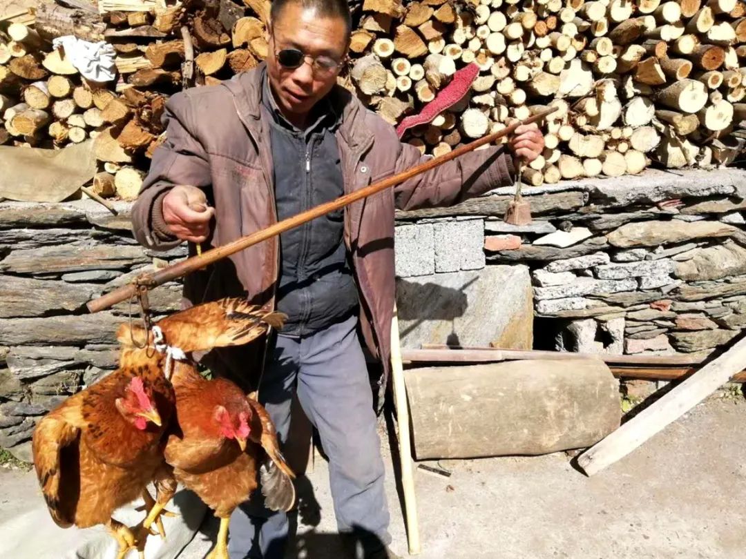 四天四万元 白河这个驻村工作队助力贫困户卖鸡_张儒春