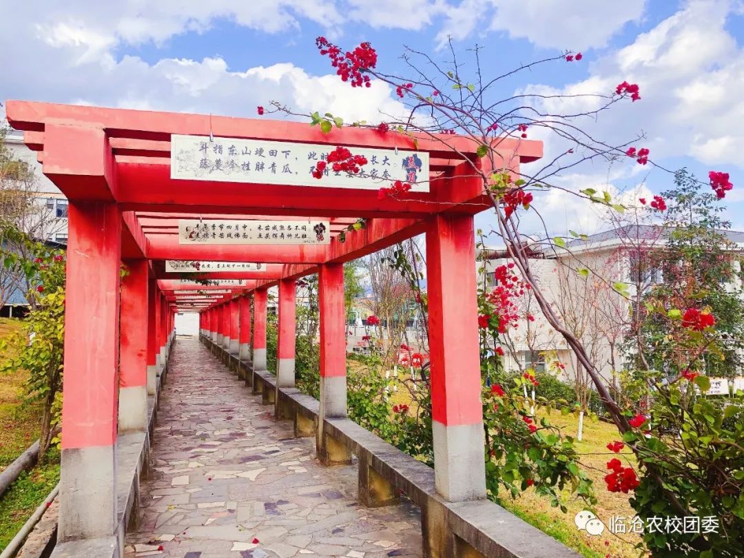 临沧市农业学校2020年招生简章