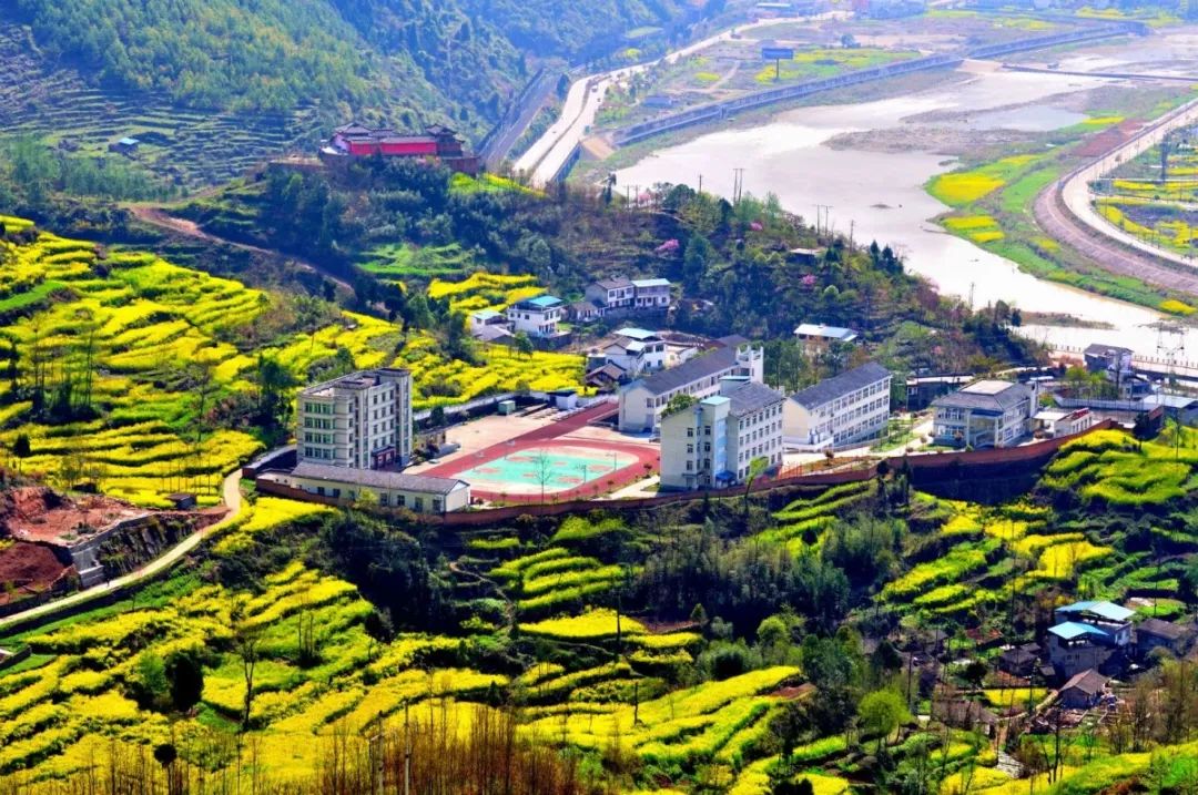 憋坏了吧相约大美青川以一场踏青赏花重启2020