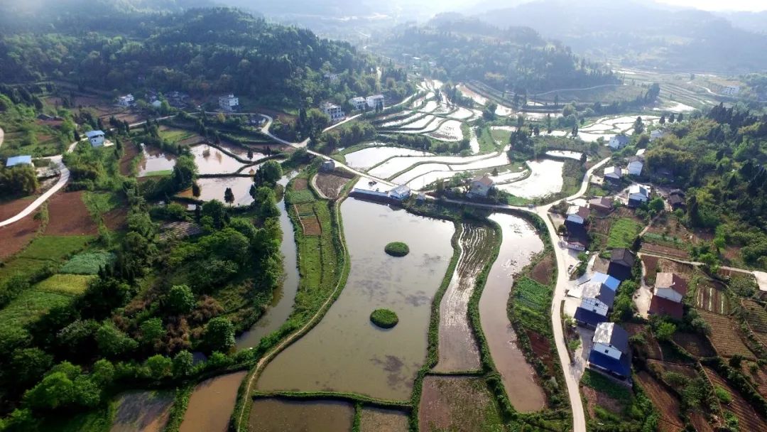 投资10亿元,南充这两个村将迎来翻天覆地的变化