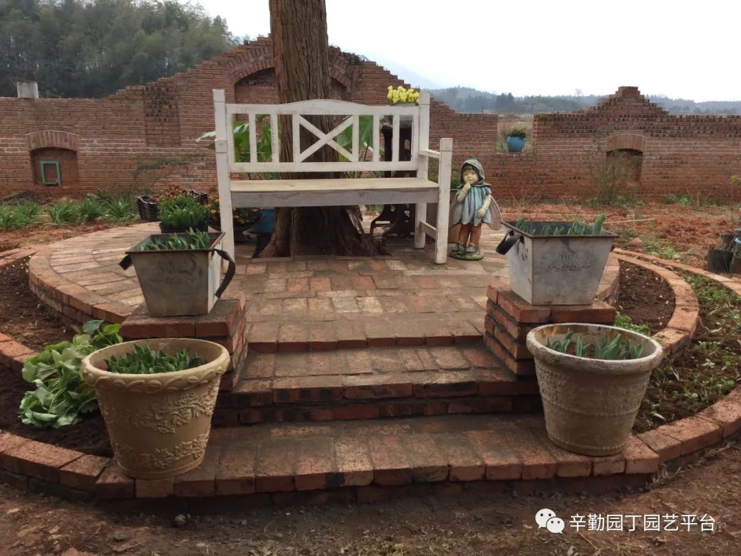 全家总动园《改造花坛》二