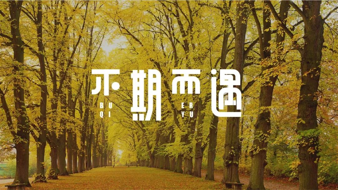 字体帮第1460篇不期而遇67明日命题天天萌宠