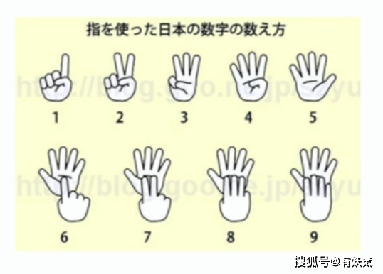 日语里数词中的“助数词”解析_数字
