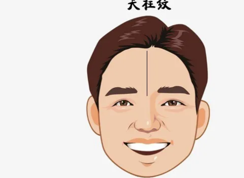 天柱纹和悬针纹在什么位置又有什么区别