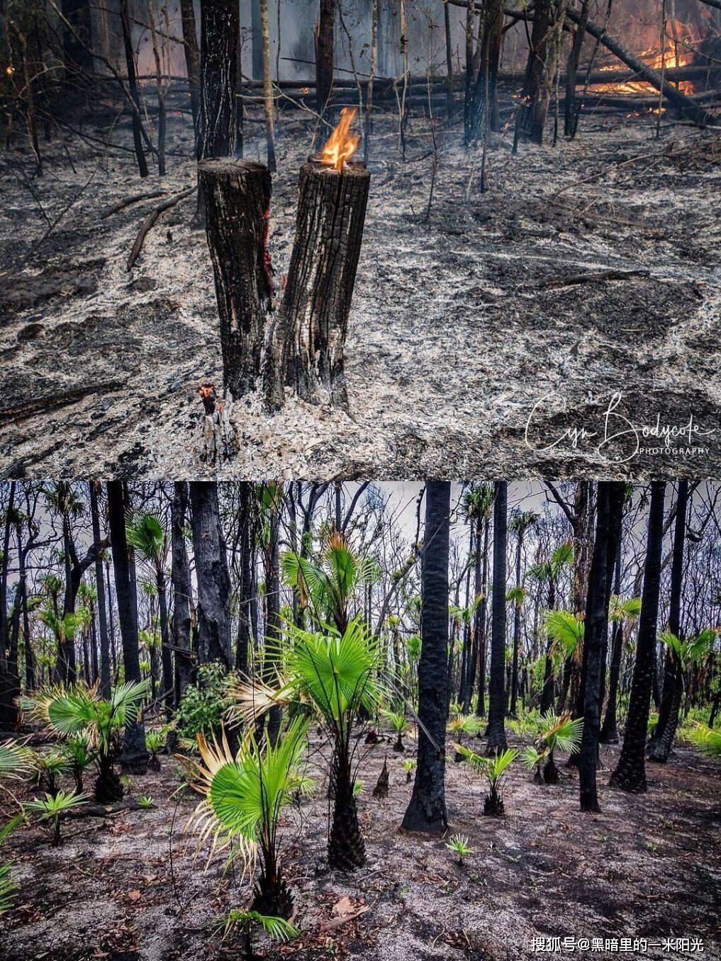 危难中的心理状态竟然是这样的真是不可思议