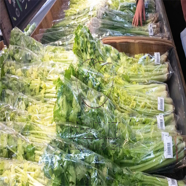 净菜加工设备如何能解决减少人工操作问题