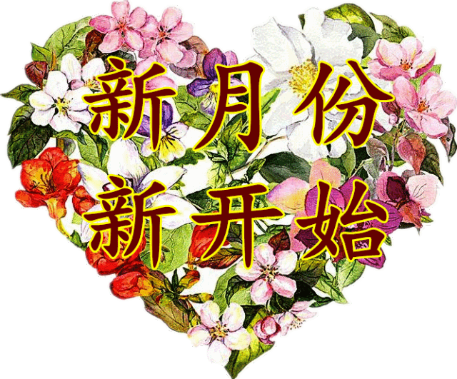 640_531gif 动态图 动图