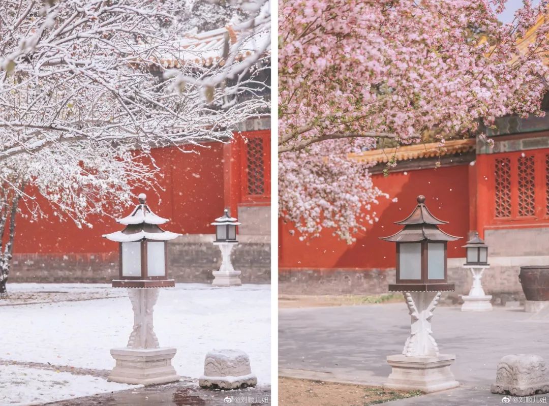 认识一位神仙摄影师不论春夏秋冬,她都能拍出不一样的故宫美微博:刘顺