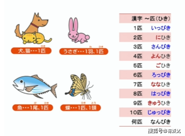 日语里数词中的“助数词”解析_数字