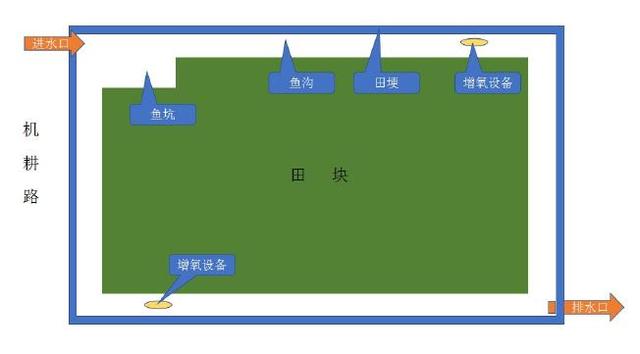 稻田养鱼具有投入少周期短见效快稳粮增收受黔南州重视