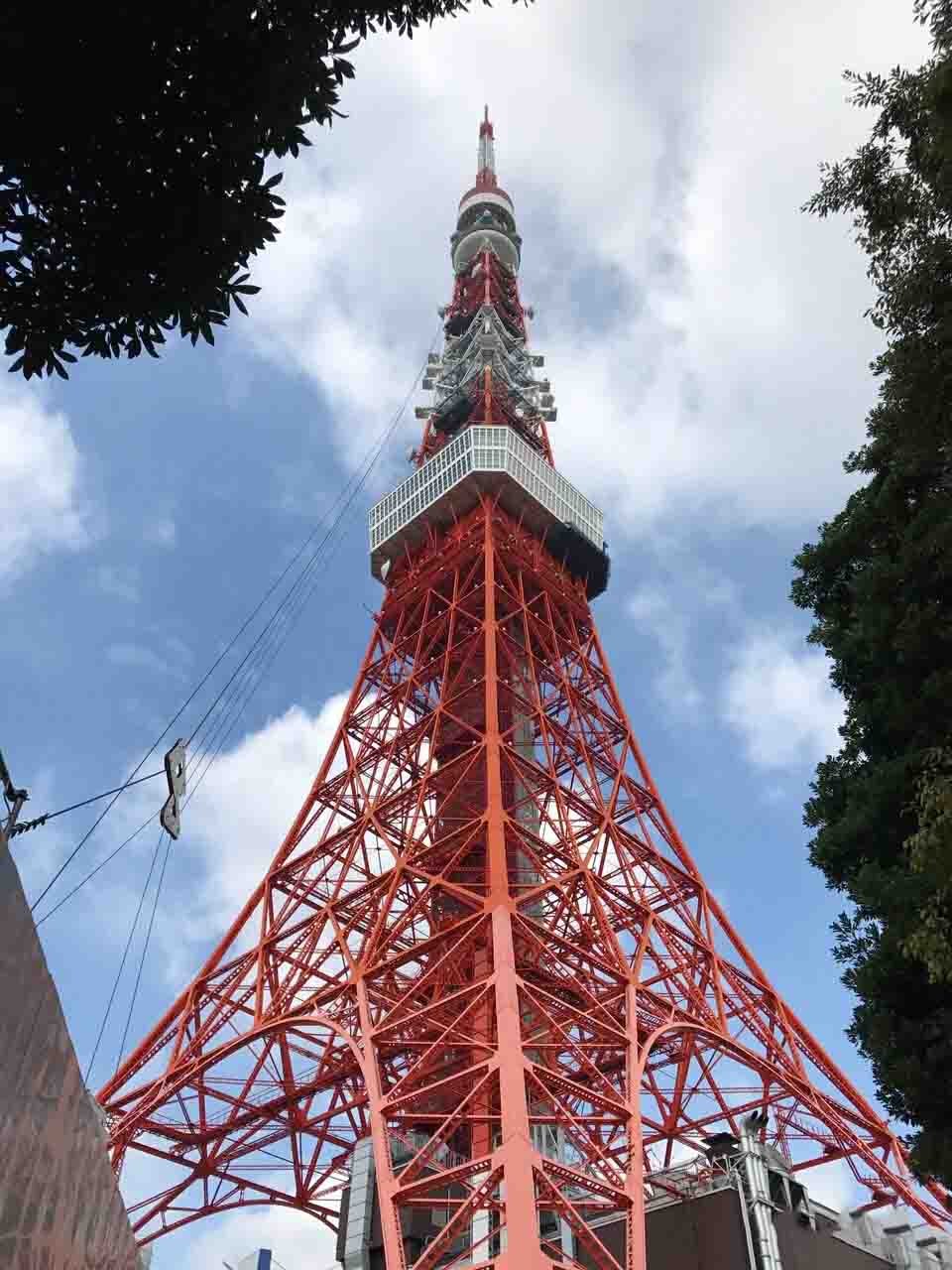 日本旅游攻略——东京塔 海贼王主题乐园