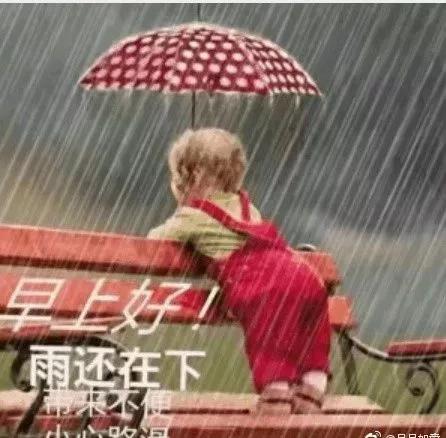 雨天早安图片唯美打伞图片