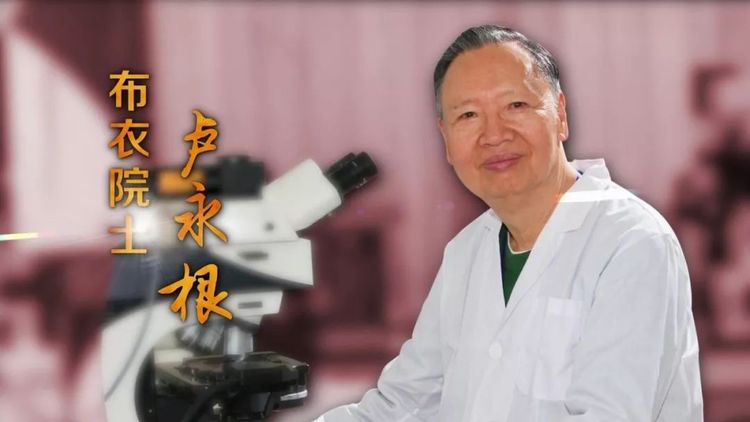 学卢永根精神做先锋教师先锋路小学向卢永根同志学习专题活动侧记