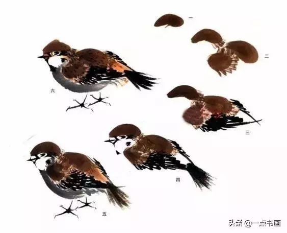 燕雀的入门写意画法及作品示范