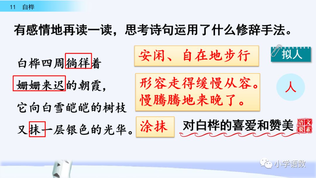 宅家语文课丨部编版四年级下册第11课《白桦》图文讲解