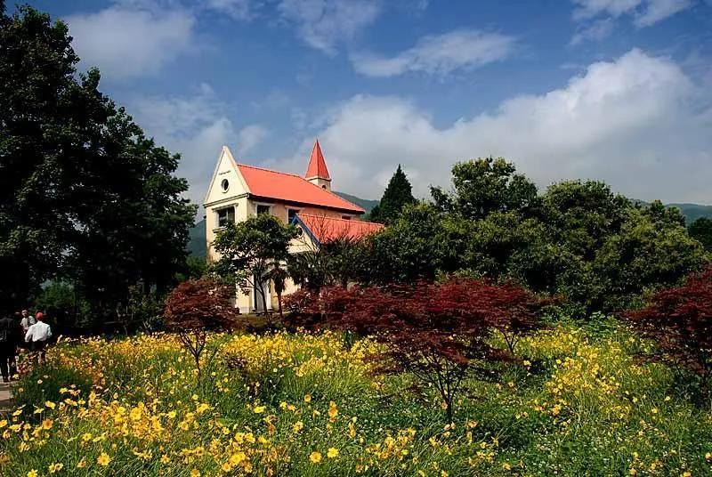 復工在即跟我一起來波爾登森林公園吸吸氧吧