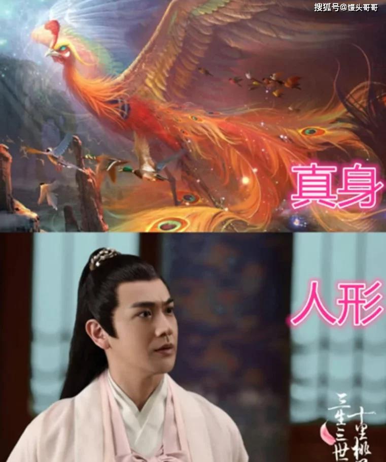 原创三生三世:真身vs人形,凤九可爱,白浅惊艳,看到折颜:恋爱了