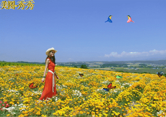 574_404gif 动态图 动图