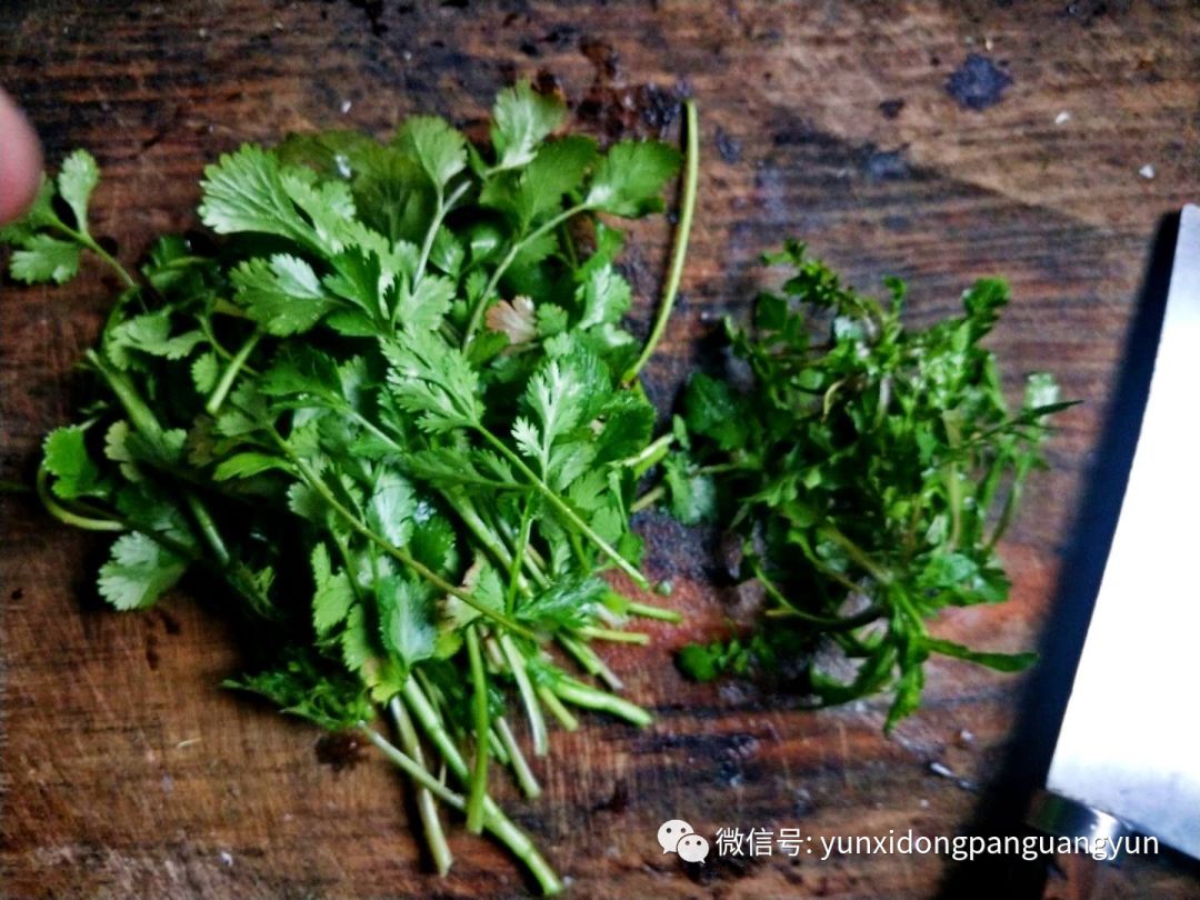 昨日记五蔸斑菜引发的呐喊