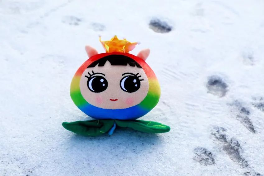 非常时期非常关爱五一小学种子宝宝的防疫日记