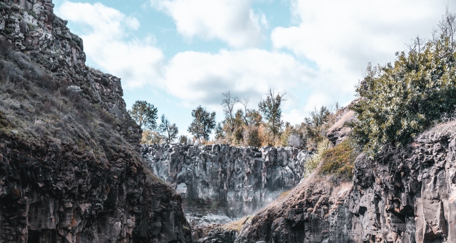 复工成家电产业主旋律，有跨界医疗有削减订单但巨头均负重前行-家电圈官网