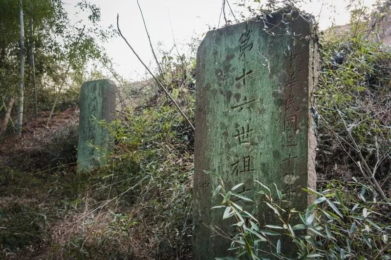 溪口桃坑山南麓又找到蒋介石先生离乡前为蒋家祖辈题写的四块墓碑